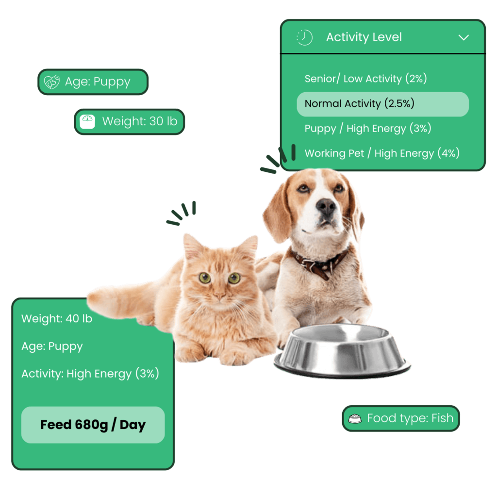 The Perfect Portion Calculator1 | Weblta