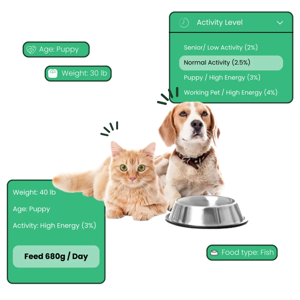 The Perfect Portion Calculator1 | Weblta