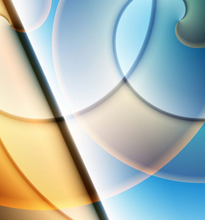 Custom E-commerce vs. Template: Which is Right for Your Business?