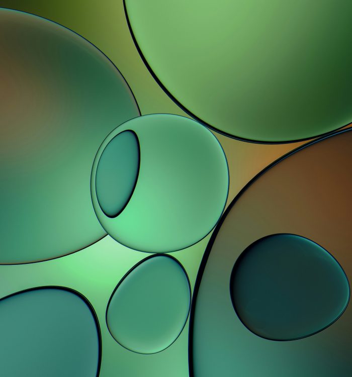 The Importance of Payment & Checkout Integration